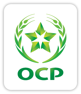 You are currently viewing OCP